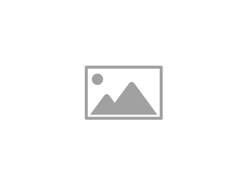 Video / Animation Gallery